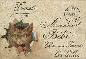 Confectionery Prints: Card Demel Wien Monsieur Bébé Chez ses Parents En Ville