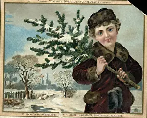 Greeting Card Prints: Card W/Boy Holding Snowy Branch/Illust