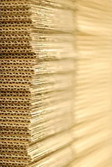 Atop Prints: Cardboard, shallow depth of field