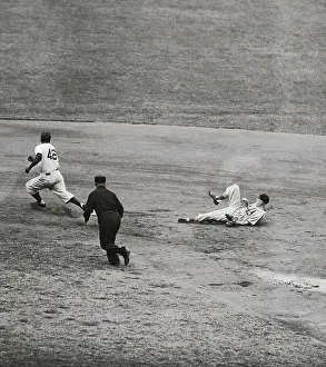 Cardinal Dodger Baseball Action