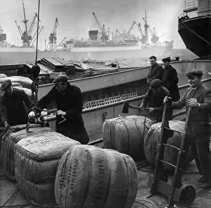 Cargo Prints: Cargo Of Wool