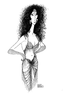 Caricature Of Cher