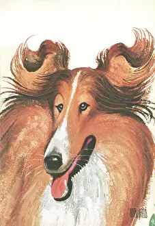 Caricature Of Lassie