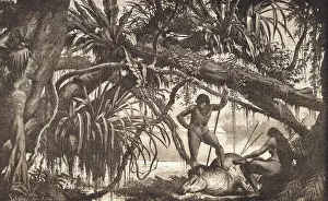 Caripuna Indians Examining Tapir