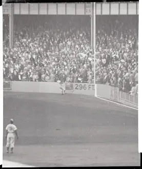 Carl Furillo Watching Home Run Ball