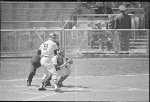 Carl Yastrzemski Batting