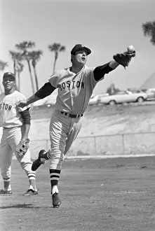 Fielding Prints: Carl Yastrzemski Reaches To Catch Ball