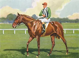 Racetrack Prints: Carlisle