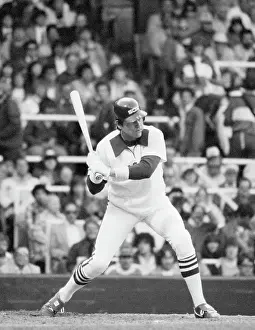 Batting Helmet Prints: Carlton Fisk Batting