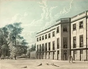Peacock Prints: Carlton House