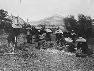 Carmelites At Work