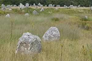 Images Dated 12th August 2014: Carnac stones, menhirs near Carnac, Departement Morbihan, Brittany, France