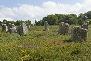 Images Dated 12th August 2014: Carnac stones, menhirs near Carnac, Departement Morbihan, Brittany, France
