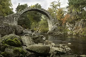 Images Dated 17th October 2013: Carrbridge Scotland