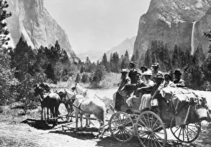 Carriage in Yosemite Park