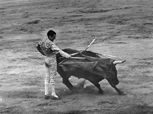 Matador Prints: Carrida