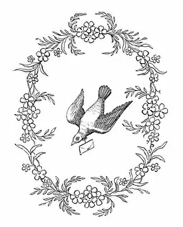 Romance Gallery: Carrier Pigeon, 19th century