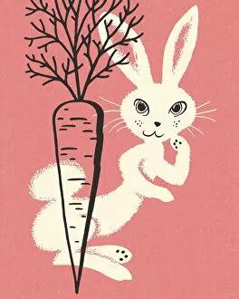 Images Dated 24th September 2012: Carrot and Rabbit