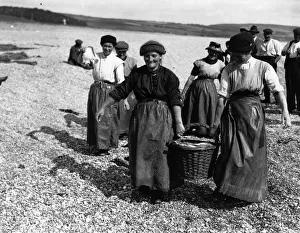 Historical Central Press Art Prints Gallery: Carrying The Catch