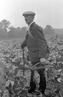 Cultivated Plants Prints: Carrying Game