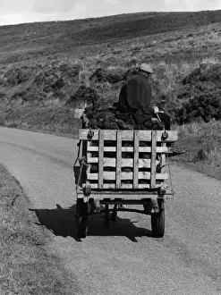 Three Lions Prints: Cart Of Peat