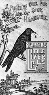 Trade Card Prints: Carter's Little Liver Pills Advertisement Depicting a Crow