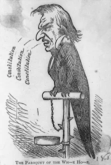 Cartoon of Andrew Johnson as Parrot