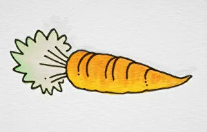 Images Dated 8th January 2007: Cartoon carrot