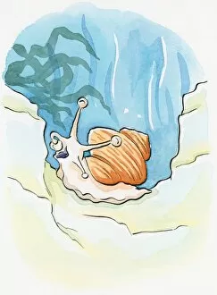 Mollusc Collection: Cartoon of Common Periwinkle (Littorina littorea), an underwater sea snail using tentacle to put