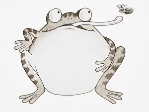 Images Dated 17th January 2007: Cartoon, Frog looking up and sticking out its long tongue to catch Fly, front view