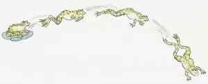 Cartoon of frog sitting on water lily and frogs jumping