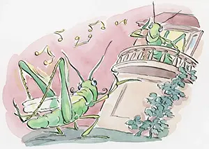 Mating Prints: Cartoon of grasshopper attracting a mate by rubbing its back legs to chirp as she looks down from balcony