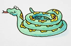 Images Dated 8th January 2007: Cartoon, green snake with yellow pattern, coiled with its tongue sticking out, side view