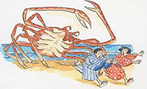 Images Dated 10th November 2008: Cartoon of Japanese Spider Crab (Macrocheira kaempferi), chasing man