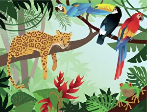 Images Dated 25th August 2019: A cartoon jungle design with leopard, parrot, and Toucan