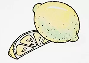 Cartoon, whole lemon and lemon slice