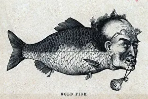 Cartoon Of Man'S Head On Fish Body
