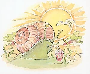 Cartoon of of snail in hot sun using straw to drink cold water from glass