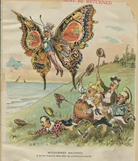 Cartoon of Politicians Trying to Catch Presidential Butterfly