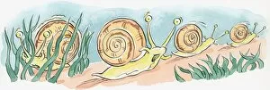 Snail Gallery: Cartoon of row of underwater sea snails with mouths open and alert eyes on top of tentacles