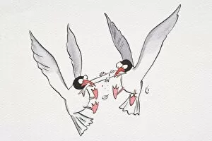 A cartoon of two seagulls fighting for food