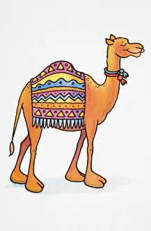 Deserts Prints: Cartoon, smiling Dromedary (Camelus dromedarius) standing with its eyes closed