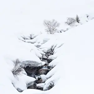 Snowfield Prints: Cascade
