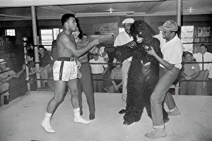 Cassius Clay in Ring