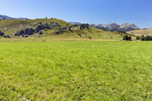 Castle Hill Conservation Area, Canterbury Region, New Zealand