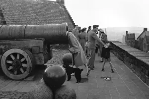 Artillery Prints: Castle Ramparts