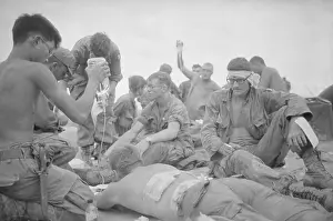 A Shau Valley Prints: Casualties from Hamburger Hill