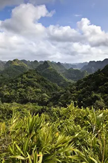 Southeast Prints: Cat Ba National Park, on the way to the Ngu Lam summit