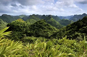 Jungle Gallery: Cat Ba National Park, on the way to the Ngu Lam summit, Kim Giao forest, UNESCO biosphere reserve