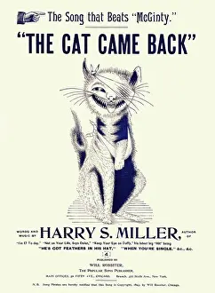 Wounded Prints: The Cat Came Back